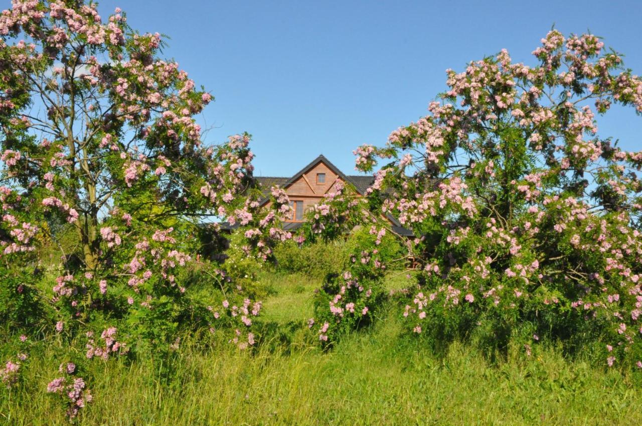 Agroturystyka Bogdanki Apartment Stary Targ ภายนอก รูปภาพ